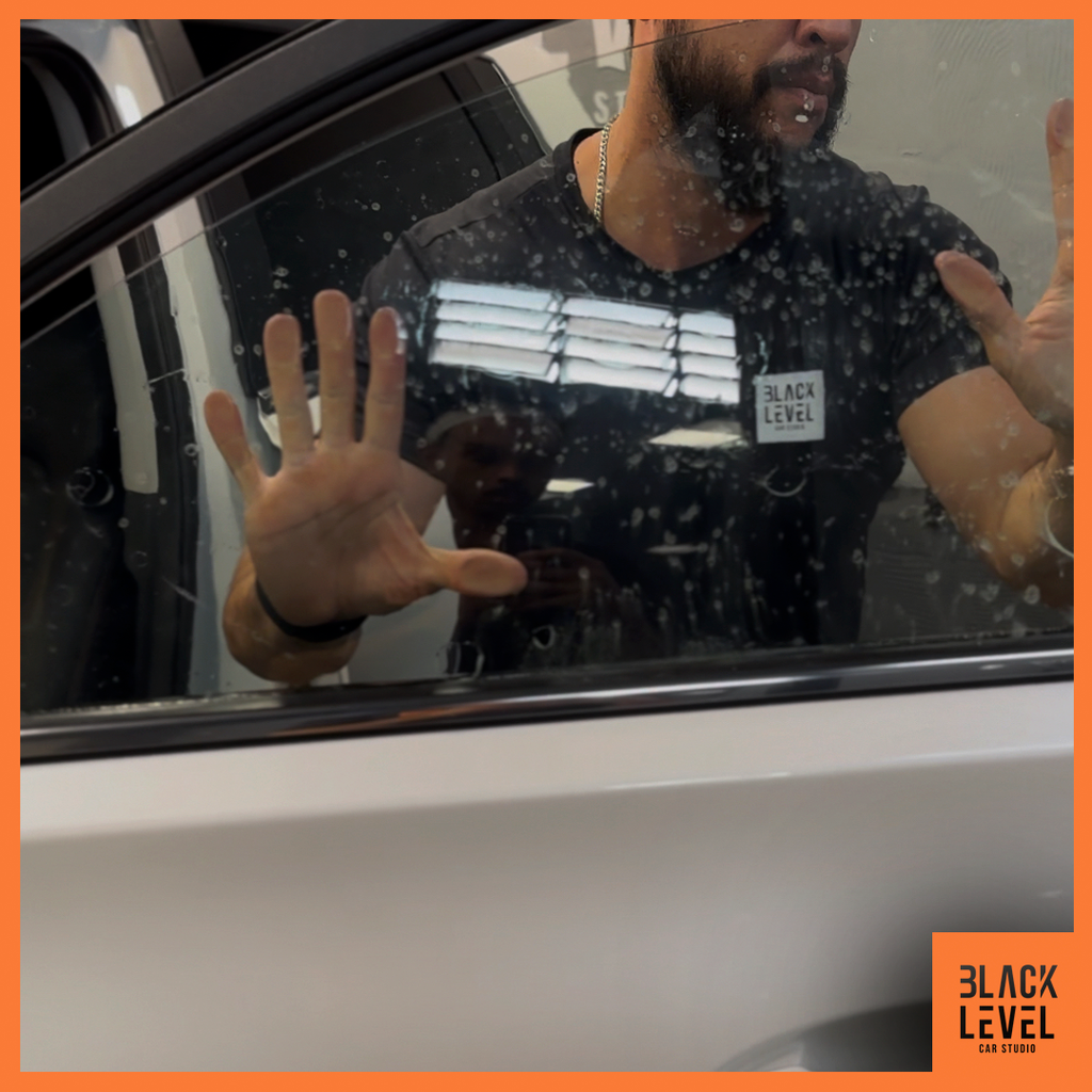 Película Antivandalismo - PS12